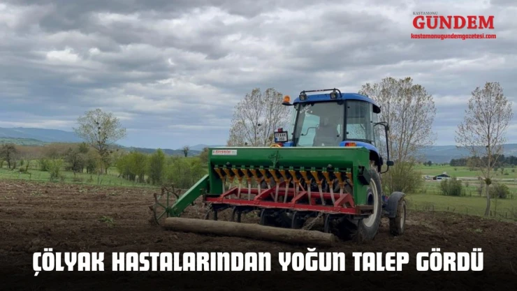 Deneme Amaçlı Ekildi, Gelir Kapısına Dönüştü