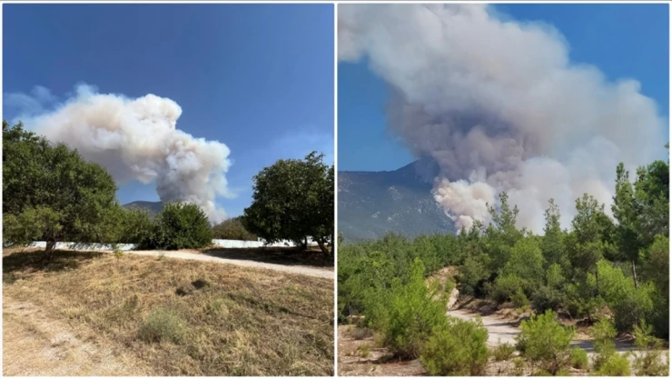 Denizli'nin Pamukkale İlçesinde Orman Yangını Çıktı