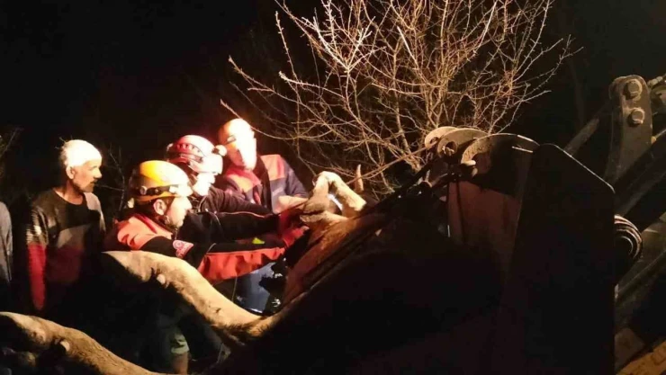 Dere Yatağına Düşerek Mahsur Kalan İnek Kurtarıldı