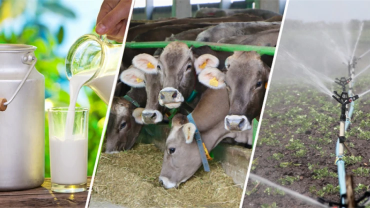 Desteklemeler Hesaplara Aktarılıyor