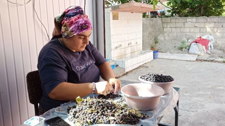Aronya Meyve Suyuna Yoğun İlgi