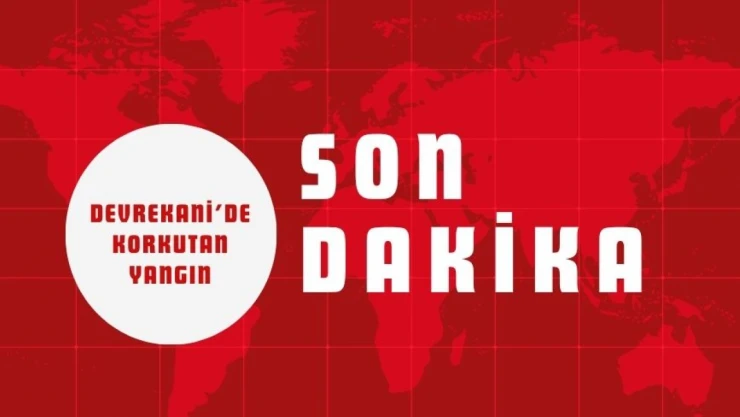 Devrekani'de Korkutan Yangın