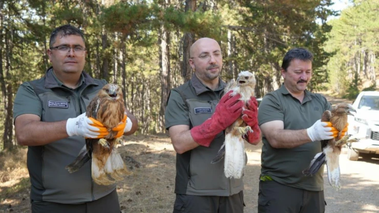 DKMP 76 Bin Yaban Hayvanını Doğaya Kazandırdı