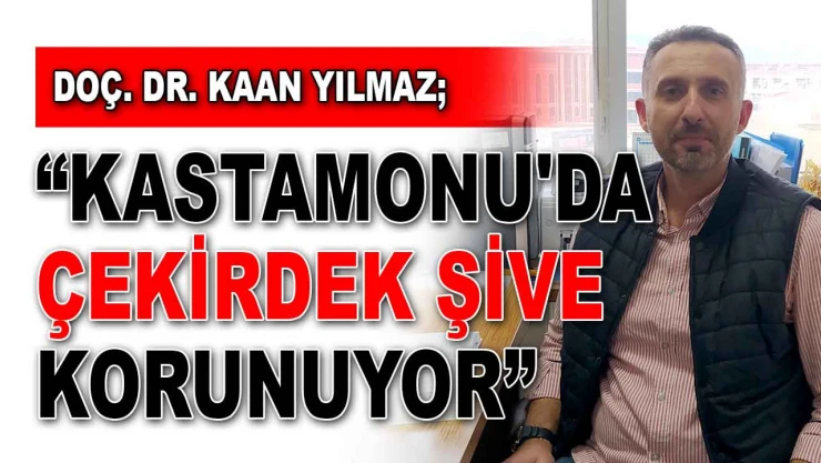 Doç. Dr. Kaan Yılmaz: 'Kastamonu'da Çekirdek Şive Korunuyor'