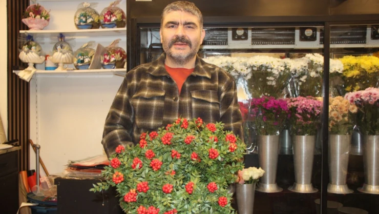 Doğanın Ve Emeğin Buluştuğu Güzellik