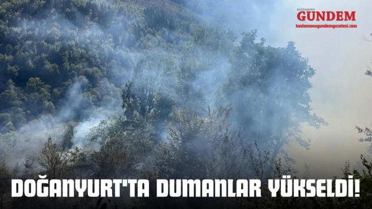 Doğanyurt'ta Dumanlar Yükseldi!