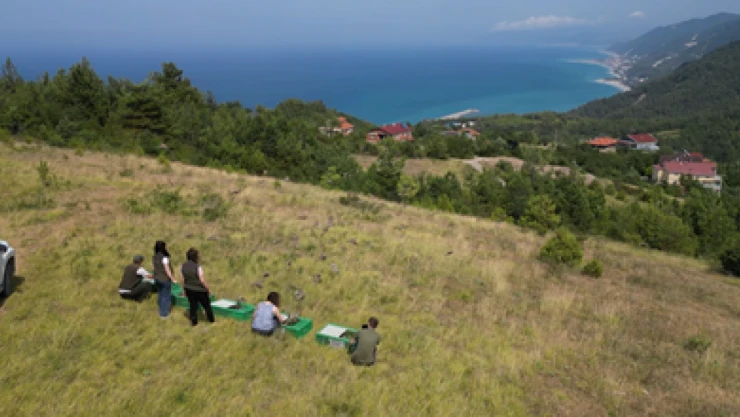 Doğaya 900 Keklik Salındı