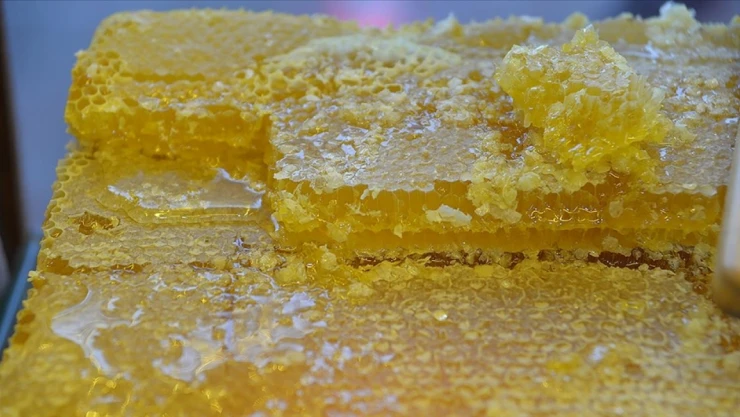 Doğu Karadeniz'den Rekor Bal İhracatı!