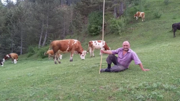 Domuz avındaki ölümde cinayet iddiası!