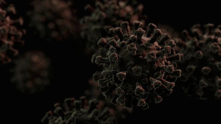 DSÖ'den X Hastalığı Uyarısı!