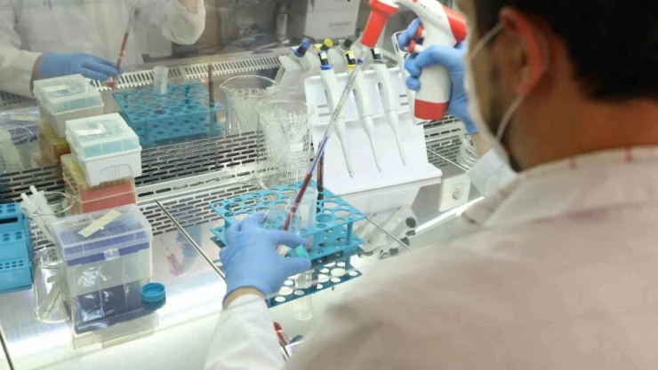 Dünya Sıralamasında Yükselişi Sürüyor