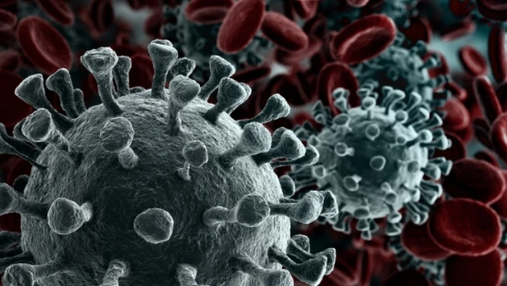 Dünyada İkinci Yaygın Ölüm Nedeni: Kanser