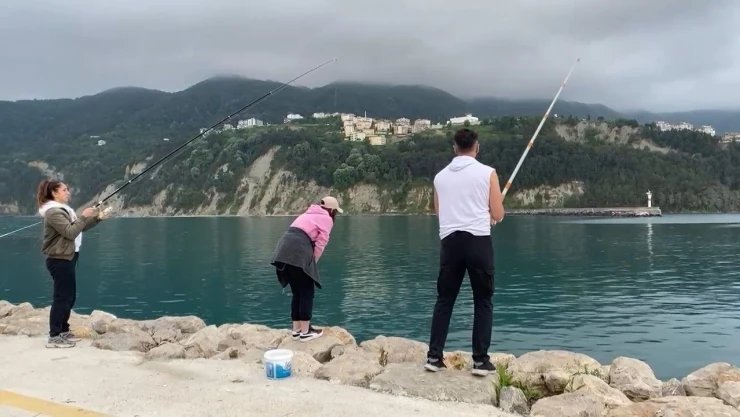 Duyan Sahile Akın Etti