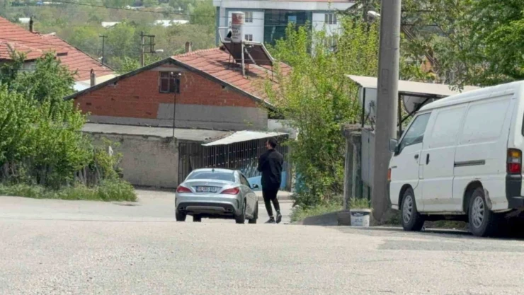 Duyarlı Sürücü Kaplumbağaları Ezilmekten Kurtardı