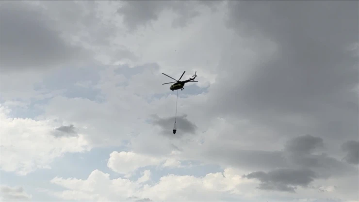 Edirne'de Çıkan Orman Yangınına Müdahale Ediliyor