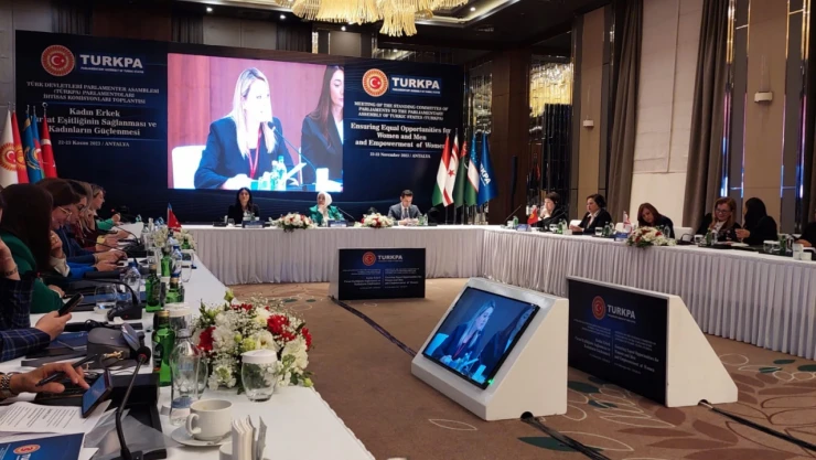 Ekmekci: 'Kadın Haklarının Üzerine Yeni Haklar Koymamız Gerekiyor'