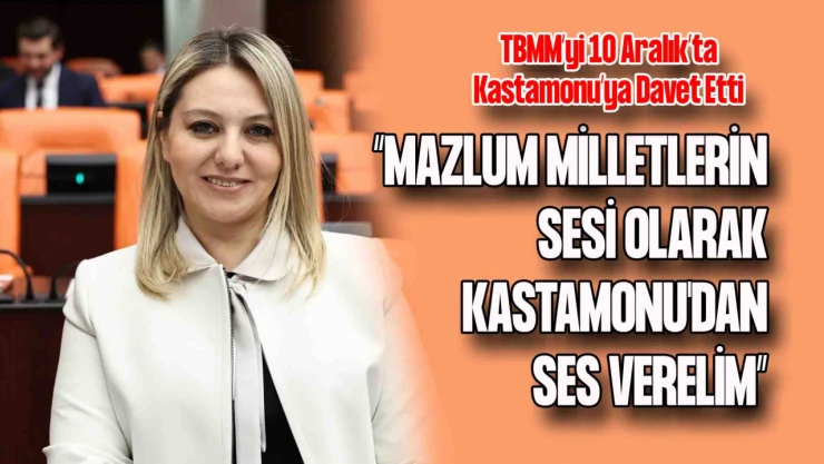 Ekmekci Meclis'te Konuştu: 10 Aralık'ta Kastamonu'ya Davet