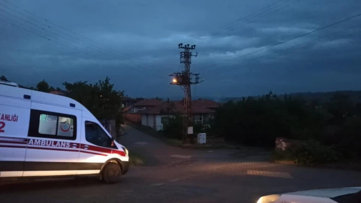 Elektrik Akımına Kapıldılar