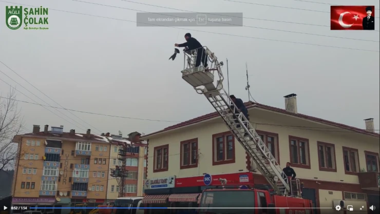Elektrik Teline Takılan Güvercini İtfaiye Kurtardı