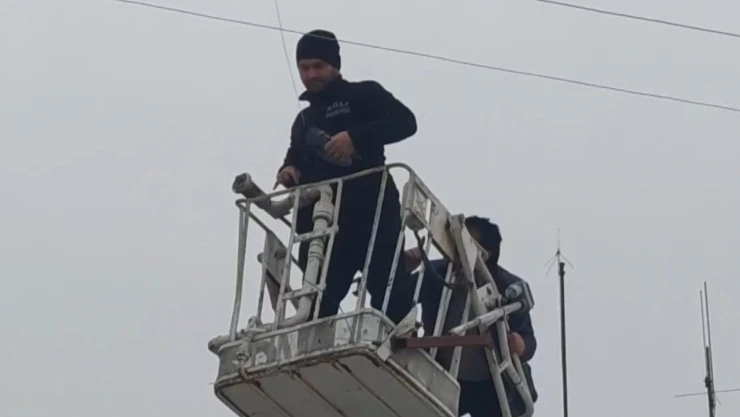 Kurtarılan Güvercin Doğaya Salındı