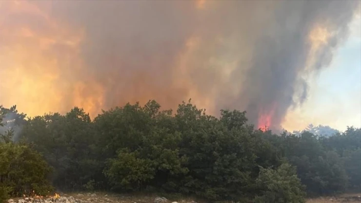 Eskişehir'de Çıkan Orman Yangınına Müdahale Ediliyor