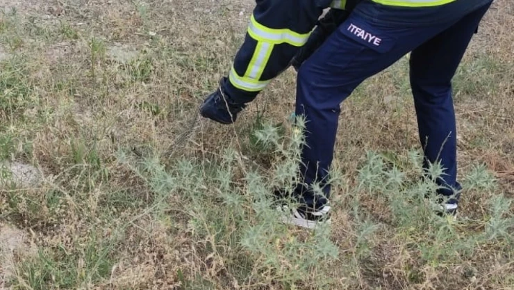 Eve Giren Yılan İtfaiyeyi Seferber Etti