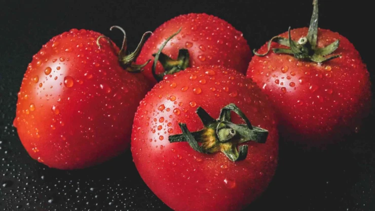 Evlerde Kış Mesaisi Başlıyor