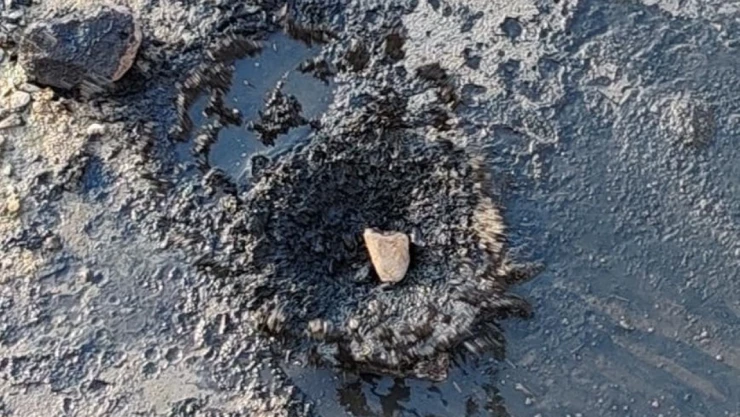 Zehir Kusan Dere Alarm Veriyor