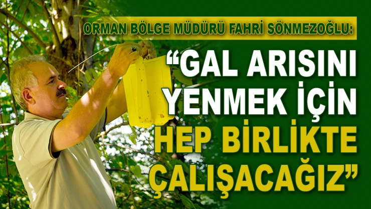 Fahri Sönmezoğlu: 'Gal Arısını Yenmek İçin Hep Birlikte Çalışacağız'
