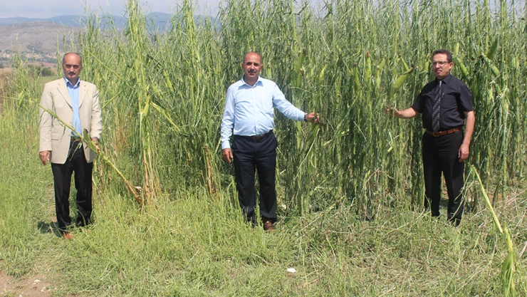 Felaket gün yüzüne çıktı