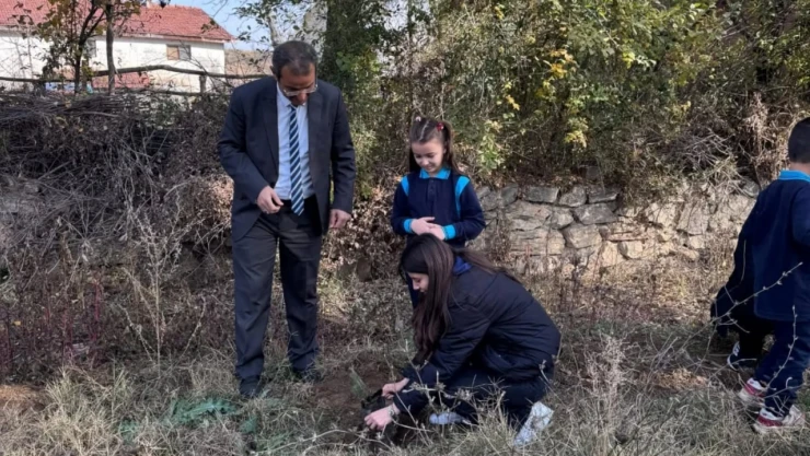 Fidan Dikimi Yapıldı