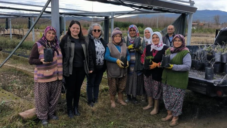 Fidanlar Ehline Emanet