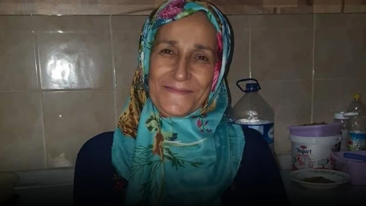 Kastamonu'da Fındık Bahçesinde Düşen Kadın Hayatını Kaybetti