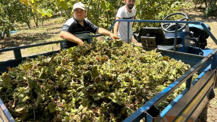 Tırpan Ücretleri Rekor Kırdı