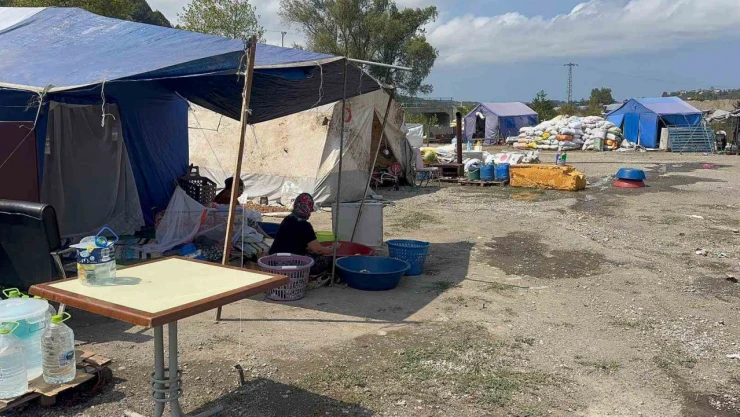 Fındık İşçilerinin Çadır Hayatında Su Ve Elektrik Yok