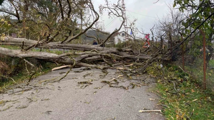 Çatalzeytin Savaş Alanı Gibi