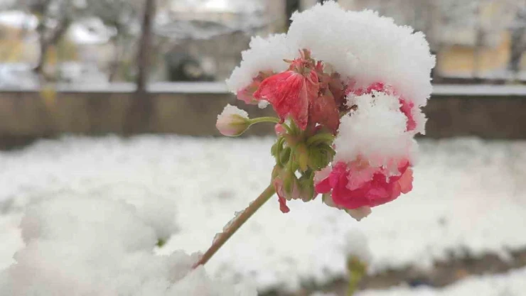 Bartın'da Kar Yağışı