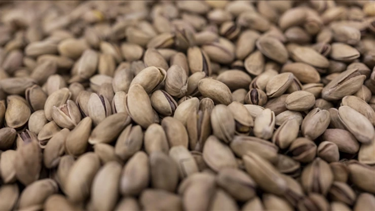 Fıstık Sektörüne Sıkı Denetim