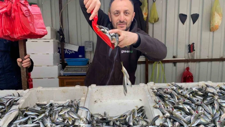 Balığa Olan İlgi Azaldı