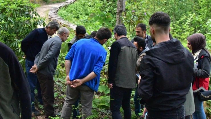 Gal Arılarına Karşı Biyolojik Mücadele Sürüyor