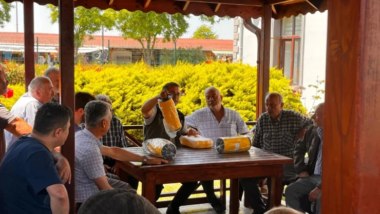 Gal Arısı İle Mücadele Devam Ediyor