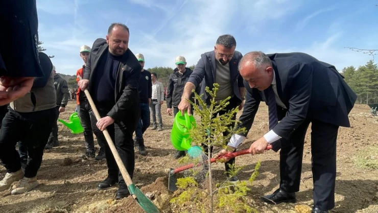 Gelecek İçin Fidan Dikildi