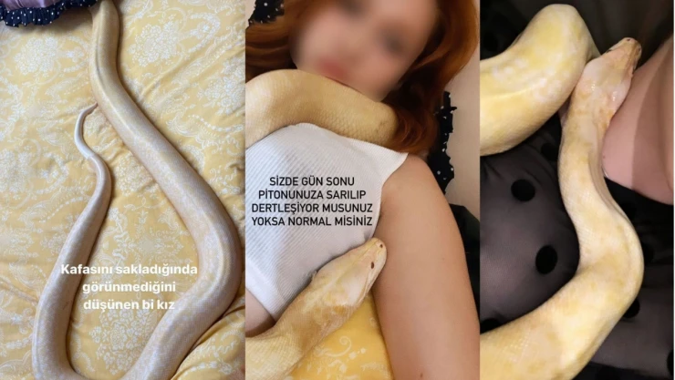 Genç Kız El Konulan Dev Pitonunu Geri İstiyor
