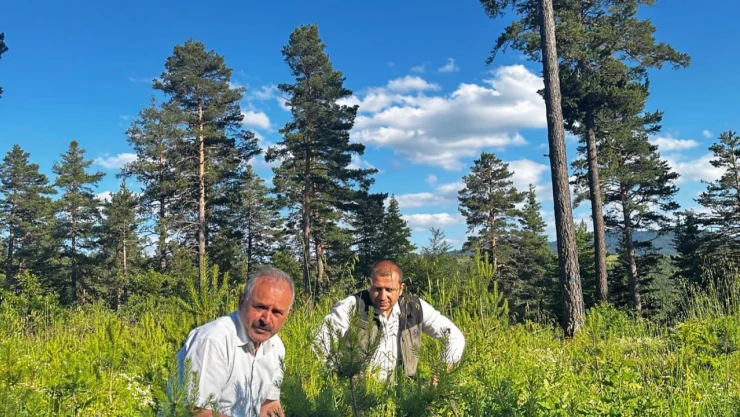 Gençleştirme çalışmalarını incelediler