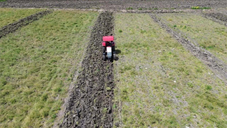 Genel Sayım Sonuçları Gelecek Yıl Açıklanacak