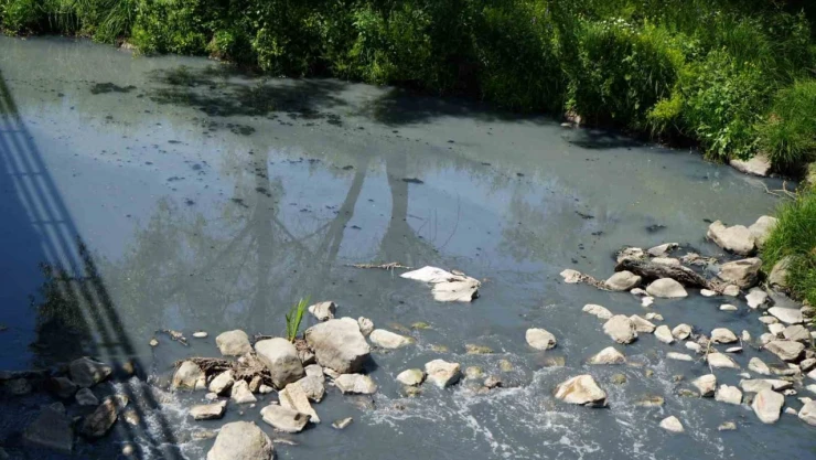 Fabrikaların Zehrini Kustuğu Derenin Yeniden Davası Görülecek