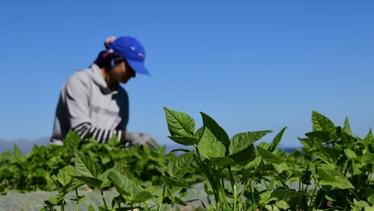 Gıda ve Tarımda Sonuç Odaklı Yeni Dönem