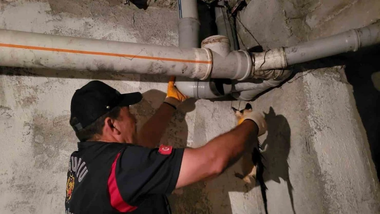 Yavru Kedinin İmdadına İtfaiye Yetişti