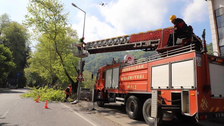 Güvenlik Açısından Risk Oluşturan Ağaç Budandı