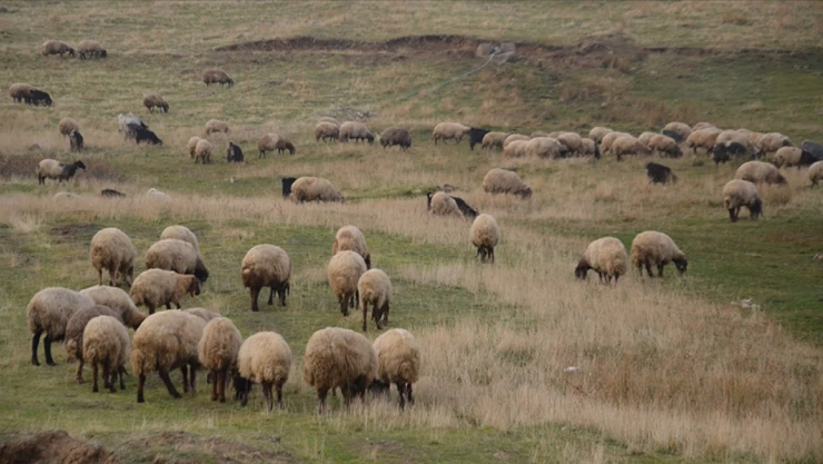 Halk Elinde Islah Projelerine 2,7 Milyar Liralık Destek